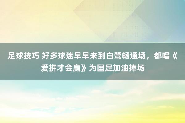 足球技巧 好多球迷早早来到白鹭畅通场，都唱《爱拼才会赢》为国足加油捧场