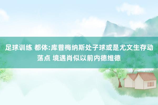 足球训练 都体:库普梅纳斯处子球或是尤文生存动荡点 境遇肖似以前内德维德