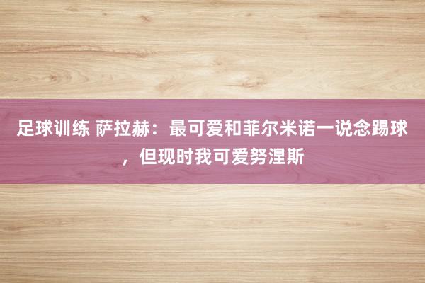 足球训练 萨拉赫：最可爱和菲尔米诺一说念踢球，但现时我可爱努涅斯