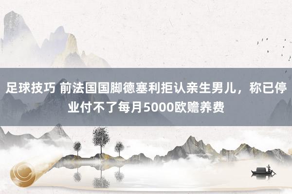 足球技巧 前法国国脚德塞利拒认亲生男儿，称已停业付不了每月5000欧赡养费