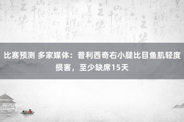 比赛预测 多家媒体：普利西奇右小腿比目鱼肌轻度损害，至少缺席15天