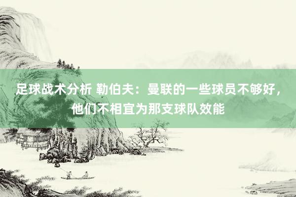 足球战术分析 勒伯夫：曼联的一些球员不够好，他们不相宜为那支球队效能