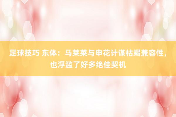 足球技巧 东体：马莱莱与申花计谋枯竭兼容性，也浮滥了好多绝佳契机