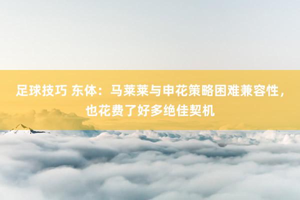 足球技巧 东体：马莱莱与申花策略困难兼容性，也花费了好多绝佳契机