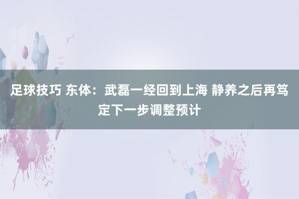 足球技巧 东体：武磊一经回到上海 静养之后再笃定下一步调整预计