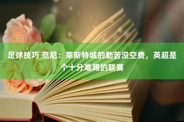 足球技巧 范尼：莱斯特城的勤苦没空费，英超是个十分难踢的联赛