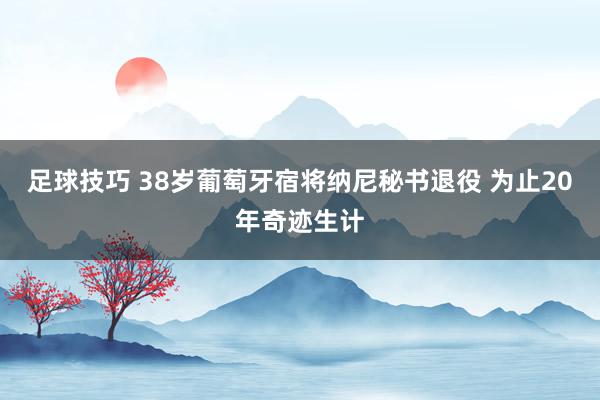 足球技巧 38岁葡萄牙宿将纳尼秘书退役 为止20年奇迹生计