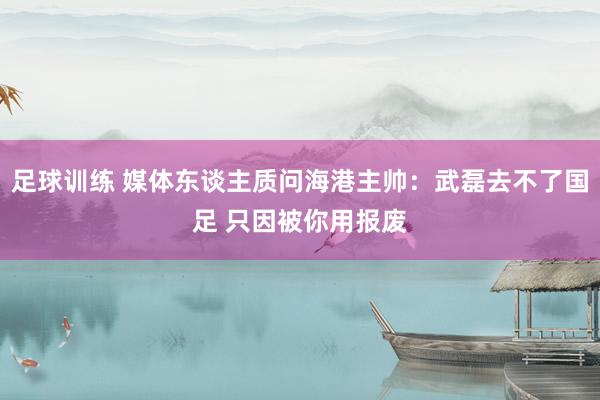 足球训练 媒体东谈主质问海港主帅：武磊去不了国足 只因被你用报废